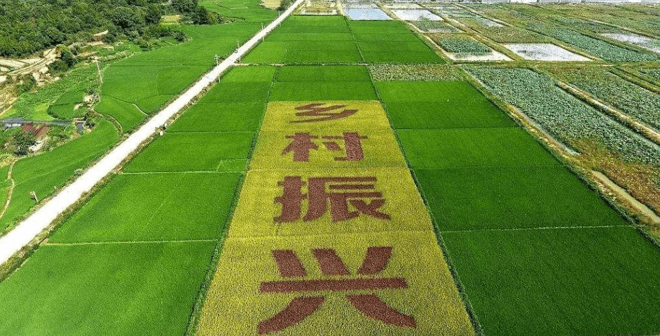 人民日報(bào)“鄉(xiāng)村振興計(jì)劃”為何看上他？_直播_行業(yè)_農(nóng)產(chǎn)品